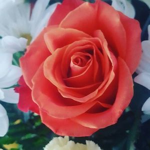 Meet your Posher, Leah